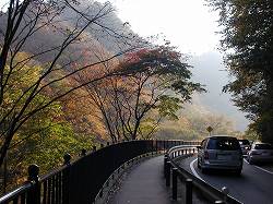 20061105-06kusatsu (1).jpg